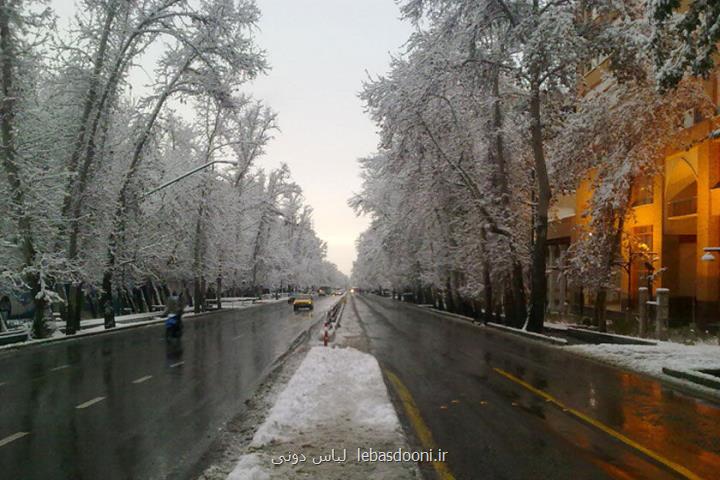آخرین خبر از ثبت جهانی خیابان ولیعصر(عج) پایتخت
