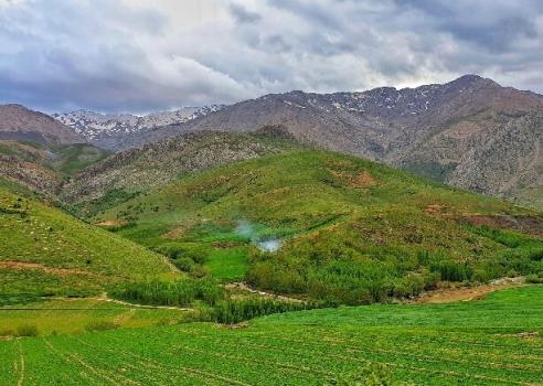 نگاهی علمی به آشتی مجدد ما با طبیعت