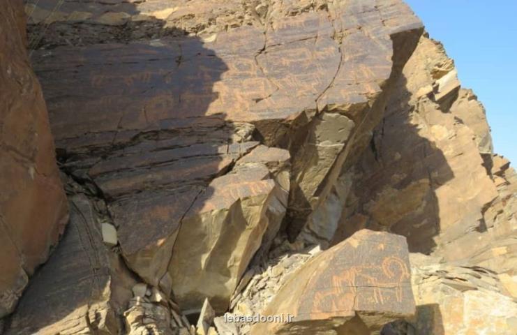 ا۱۵ محوطه سنگ نگاره های نقوش صخره ای در مشگین شهر شناسایی شد