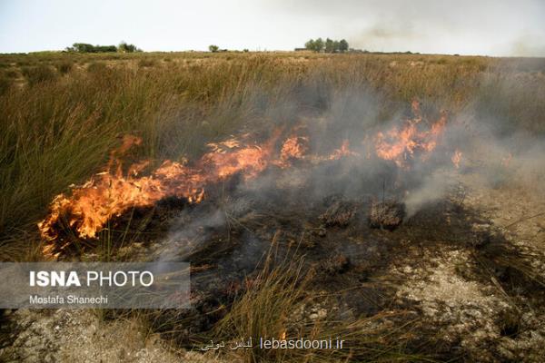 وقوع ۱۱ فقره آتش سوزی در مناطق تحت مدیریت محیط زیست مازندران