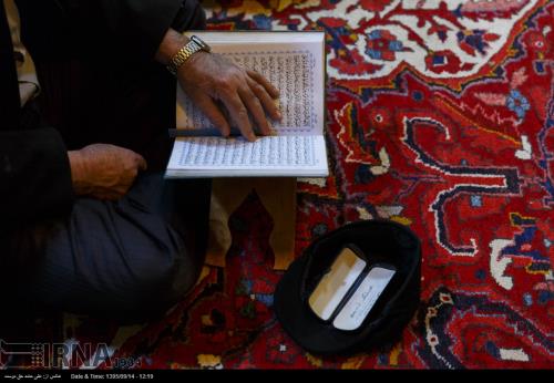 ستاره های زمین آتش به اختیار شدند