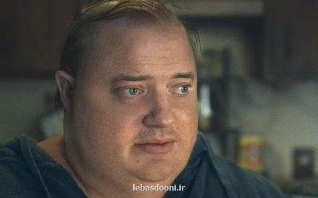 نهنگ به جمع مدعیان شیر طلا پیوست