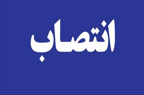 لطفی سرپرست دبیرخانه کارگروه ساماندهی مد و لباس شد