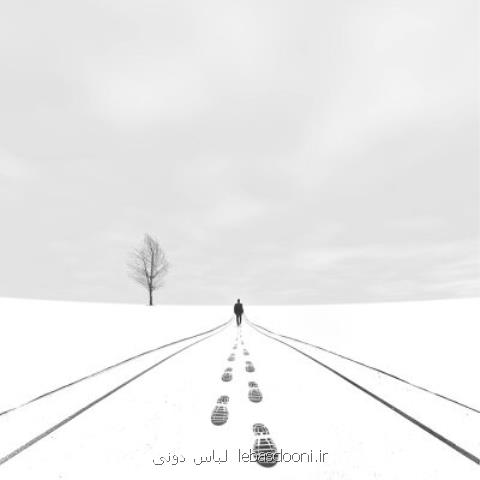 جوایز جشنواره بریستول انگلستان برای عكاسان ایرانی