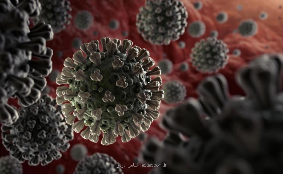 ویروس كرونا و درمانهای كمكی گیاهی و شیمیایی